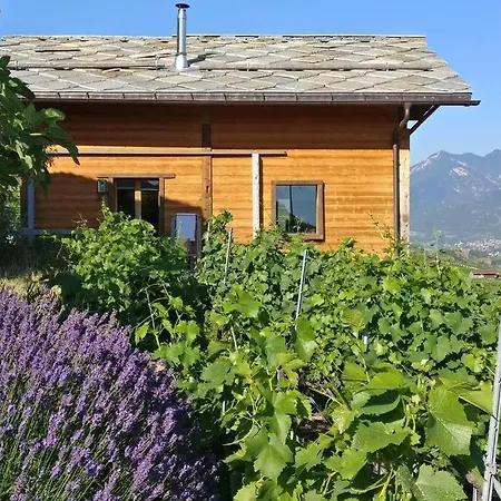 Tatil Evi La Mijonnette Des Vignes Ayent