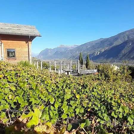 La Mijonnette Des Vignes Tatil Evi *